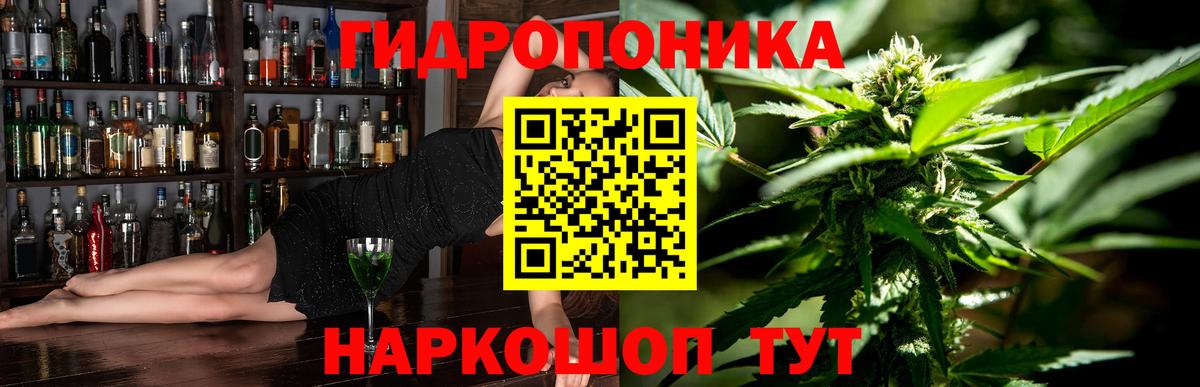 Бошки Шишки AK-47  Конопля конопля  Марихуана THC 21%  Канабис AK-47  Новодвинск  Вход с VPN 
